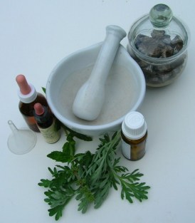 cropped-plantas-medicinales1