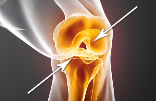 reconstruir rápidamente el cartílago desgastado